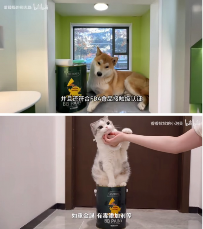 三棵树，在B站掀起涂料领域的国色热潮